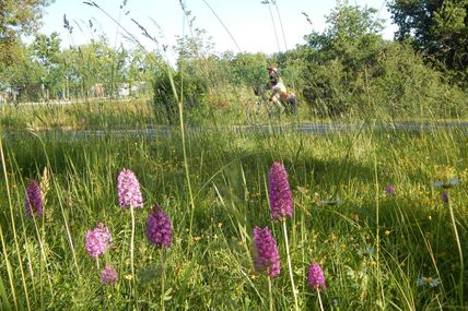 28/05/2017  Cahors Montech 82km