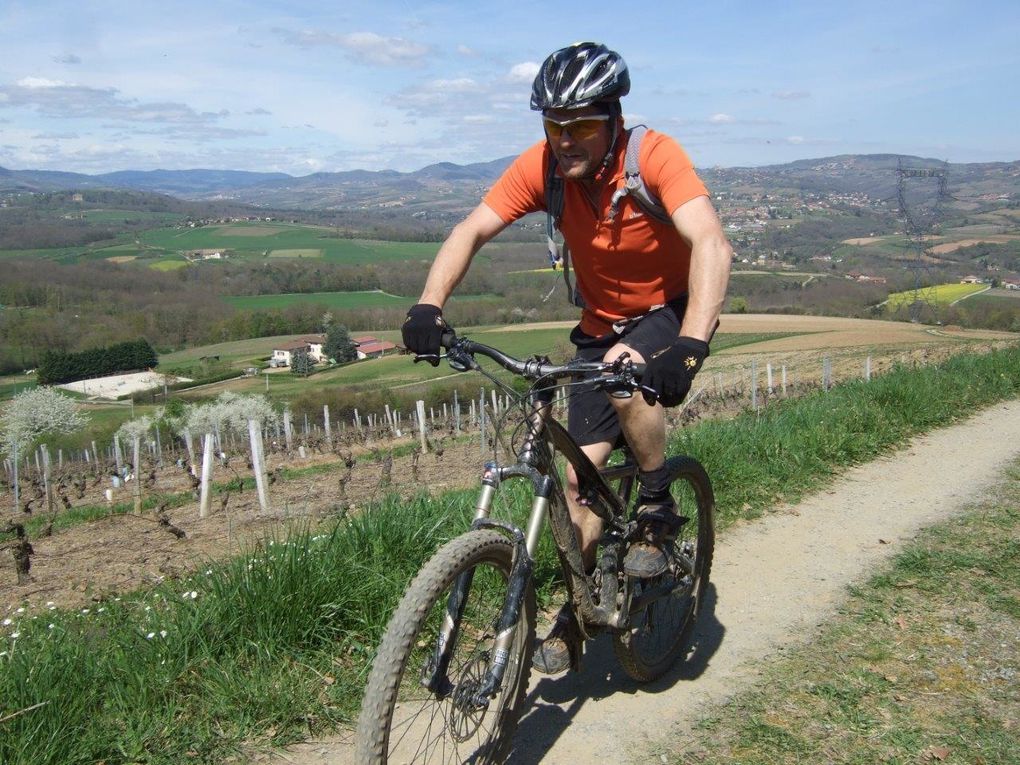 Rando 55 km "entre vigne et pierres dorées"