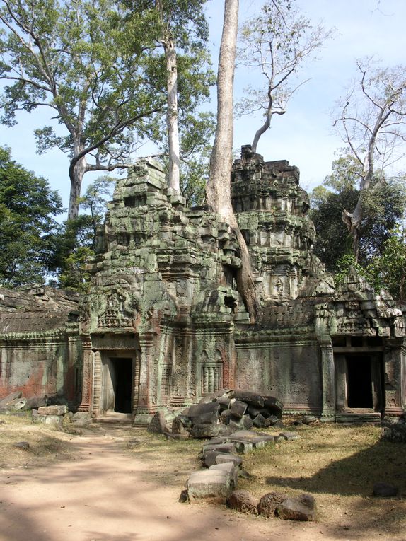 Beauté des sites ; Angkor Vat le plus connu, Ta Prohn et ses fromagers qui dégoulinent sur les murs de latérite, et le joli pont de bambou à Kampong Cham