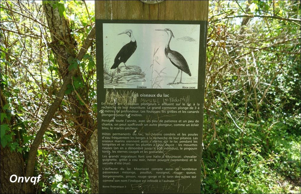 Lac de Mouriscot, Biarritz A (promenade)