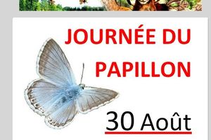 La journée du PAPILLONS !!