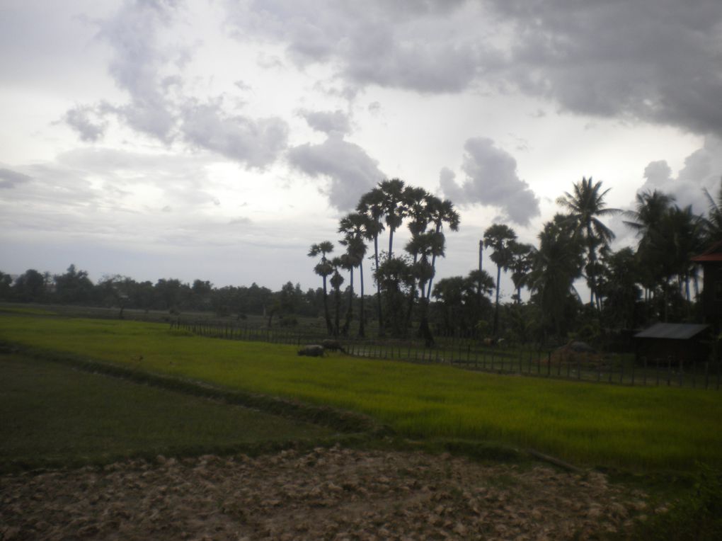 de Battambang à Banlung en passant par Siem Reap, Kompong Thom, Kompong Cham, Kratie