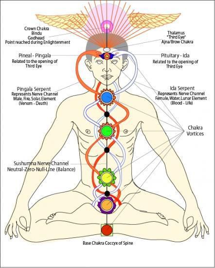 Message de la Terre : Le serpent dans l’abdomen (canalisé par Pamela Kribbe) -05/06/2023.