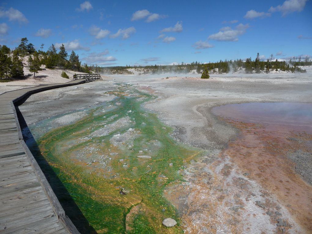 Album - 15.Yellowstone (Wyoming-octobre)