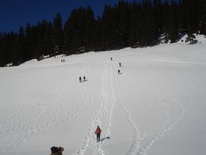 La descente sur le Bersend et l'accueil que nous y réservent de charmants bonhommes de neige