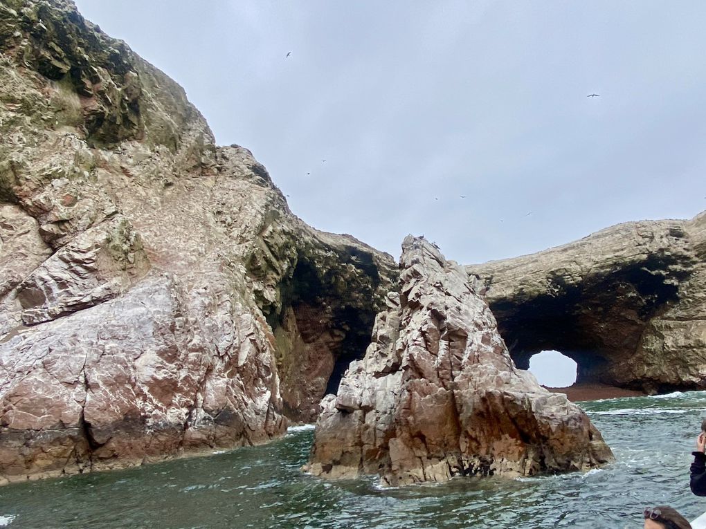 Une aventure exceptionnelle à Paracas et Huacachina 