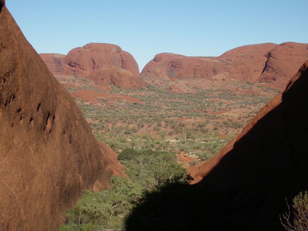 Album - The-Ultimate-Oz-Experience-2--Outback--The-Olgas---Ayers-Rock---Kings Canyon