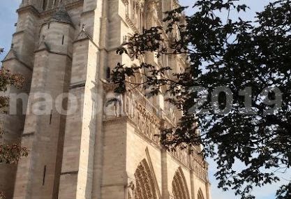 【PARIS】【Cathedrale Notre-Dame de Paris】24/08/2019