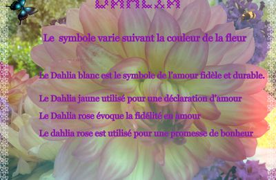 Paroles de Dahlia