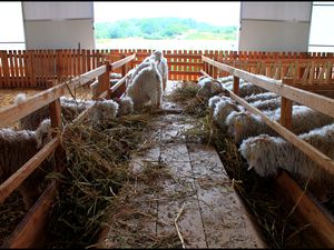 La Ferme d'Auré