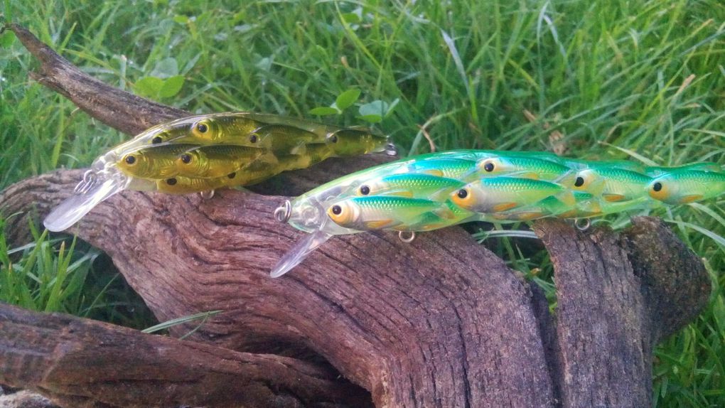 Le yearling jerkbait avec ses multiples facettes de poissons, peut être une arme redoutable!!!