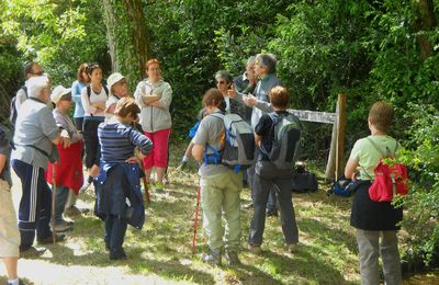 Rando contée sur le Chemin  des Seigneurs à Blanquefort sur Briolance