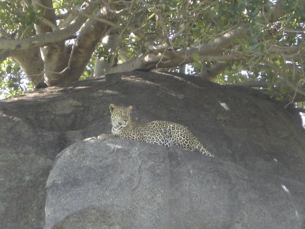 Quelques photos du voyage en Tanzanie en F&eacute;vrier