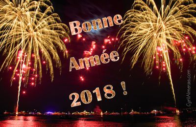 Bonne et Heureuse Année 2018