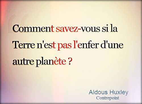 Proverbes Citations La Vache Rose