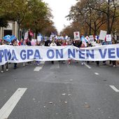 "PMA pour toutes" : vers la "marchandisation du corps humain" ?