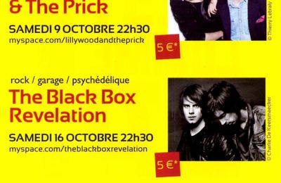 Concert de The Black Box Revelation, le 16/10/2010, à la Biscuiterie de Château-Thierry