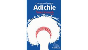   Americanah ou l’odyssée d’une jeune immigrée nigériane