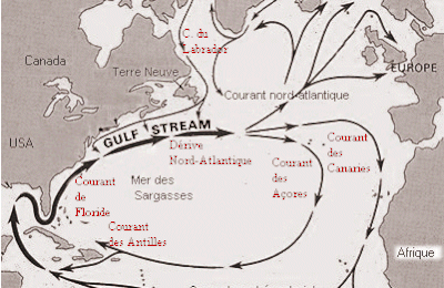 Le Gulf Stream