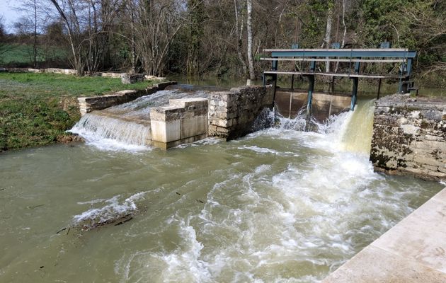 L’urgence de l’eau