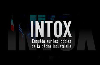 INTOX Enquête sur les lobbies de la pêche industrielle 