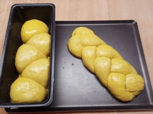 Les brioches au début et à la fin de l'apprêt (4h)
