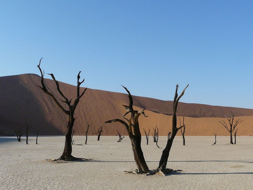 Album - Desert-du-Namib