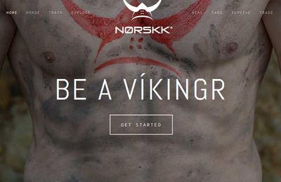 norskk.com  : Le Site qui fait de vous un "VIKINGR"  (si vous l'êtes déjà ! )