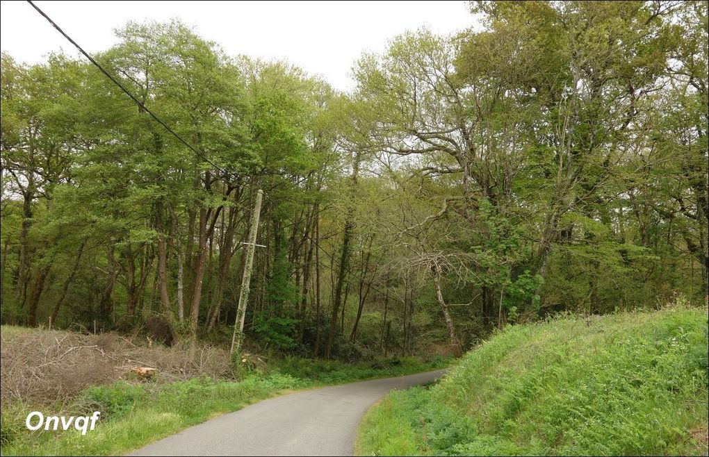 Randonnée à Orist AA