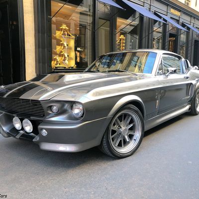 Shelby et sa Eleanor