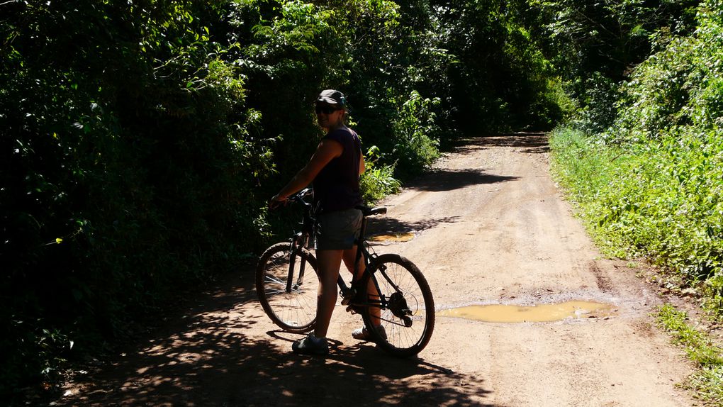 Album - Nord-est-de-lArgentine-Iguazu-.