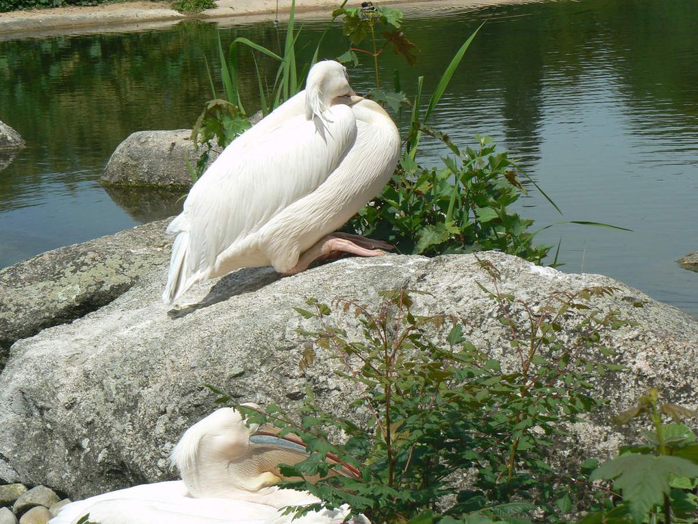 Promenade dans le parc