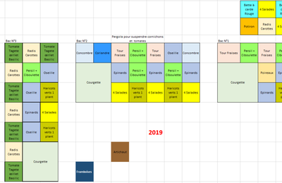 2019 : Le plan du potager