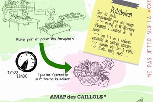 PRÉSENTATION DE L'AMAP