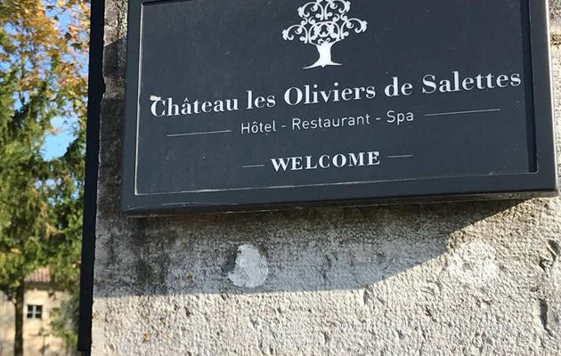 Le Château les Oliviers de Salettes