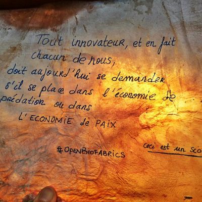 Quels tiers chemins vers quels tiers lieux?