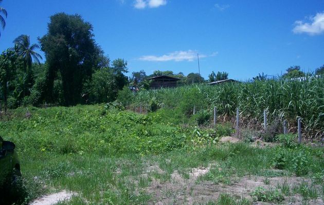 La maison 16 juillet  2016 / 1 mai 2017 