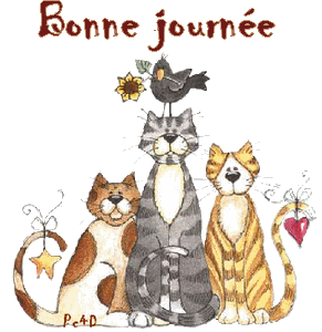 Chats Le Monde Des Gifs