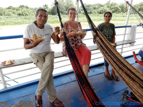 Pantanal nord (Brésil en camping-car)