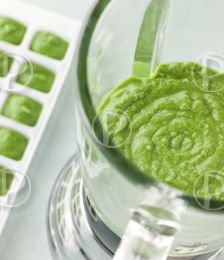 Thermomix - Purée de légumes verts