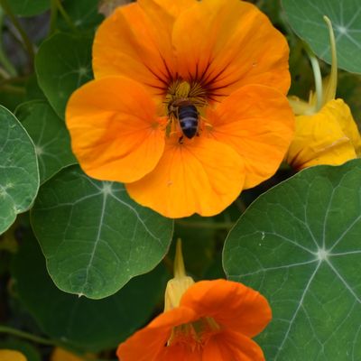 ENVIRONNEMENT : "L’AFFAIRE DU SIÈCLE" DEVANT LE TRIBUNAL ADMINISTRATIF DE PARIS ?