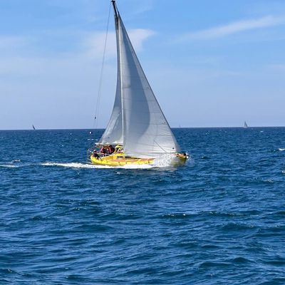 Ecole de Voile sur Voilier Habitable      