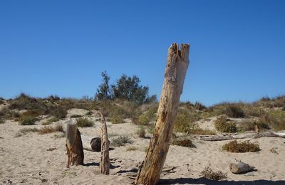 Sur la plage de sable, le voyage imaginaire...