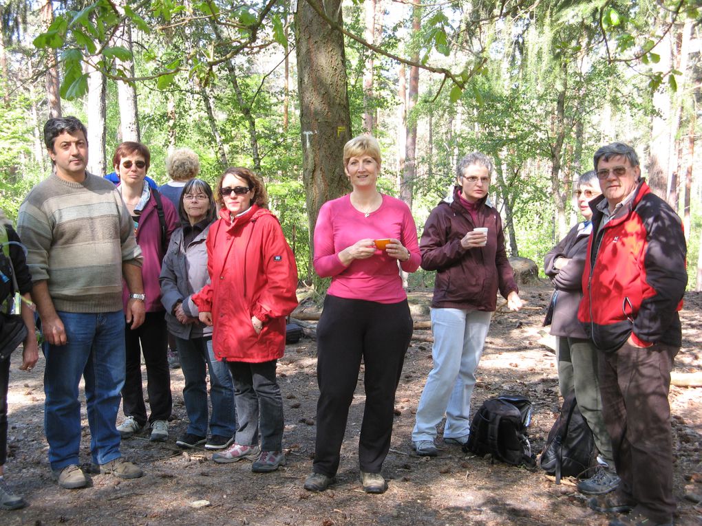 très agréable marche au coeur de la forêt d'Ermenonville.
Nous avons fait 8 kms.
et nous étions 32 marcheurs.
le temps était ensoleillé.