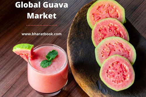 Global Guava Market Analysis 2016-2020 and Forecast 2021-2026