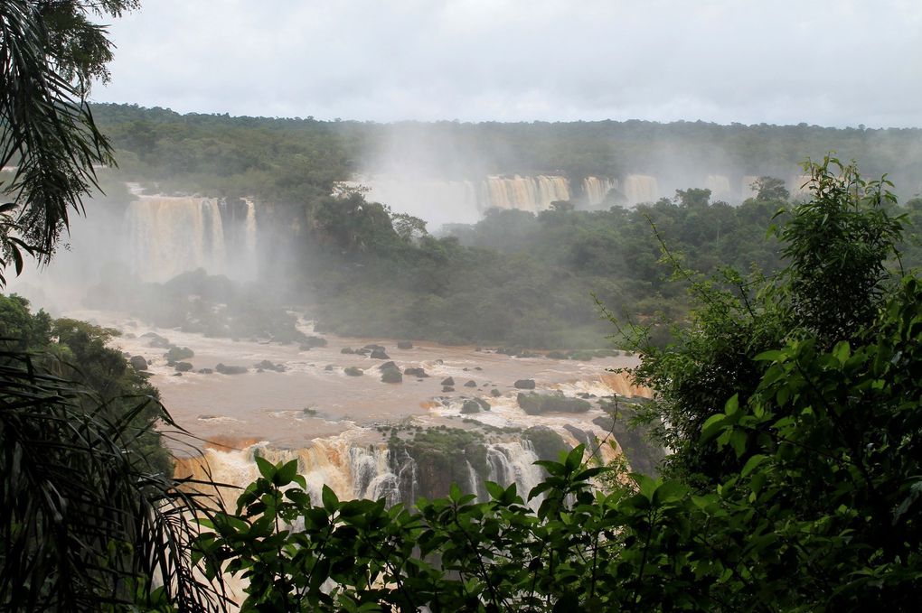 Chutes d'Iguaçu côté Brésilien superbe !!!