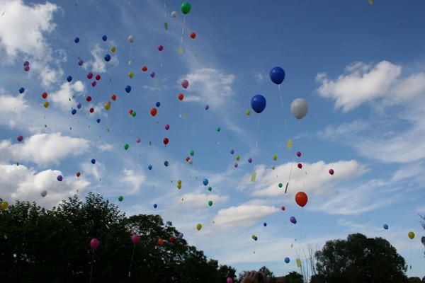 photos des jeux, du lâcher de ballons et du spectacle lors  la fête de l'école du 04 juillet 2008