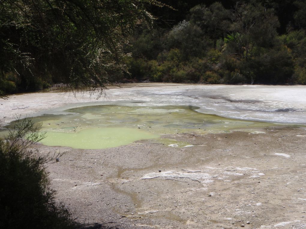 Album - NORTH-NEW-ZEALAND