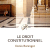 "Le piège du droit constitutionnel", Retour sur la conférence donnée par le professeur Denis Baranger à la Faculté de Droit de Montpellier en mars 2011