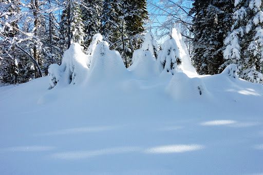 2016-01-21-Les Rousses -Ski de fond